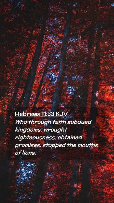 Picture 02 - Hebrews 11:33 KJV Mobile Phone Wallpaper - Who through faith subdued kingdoms, wrought - Mobile Bible Verse Wallpaper