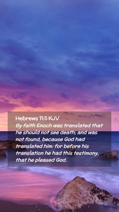 Picture 02 - Hebrews 11:5 KJV Mobile Phone Wallpaper - By faith Enoch was translated that he should not - Mobile Bible Verse Wallpaper