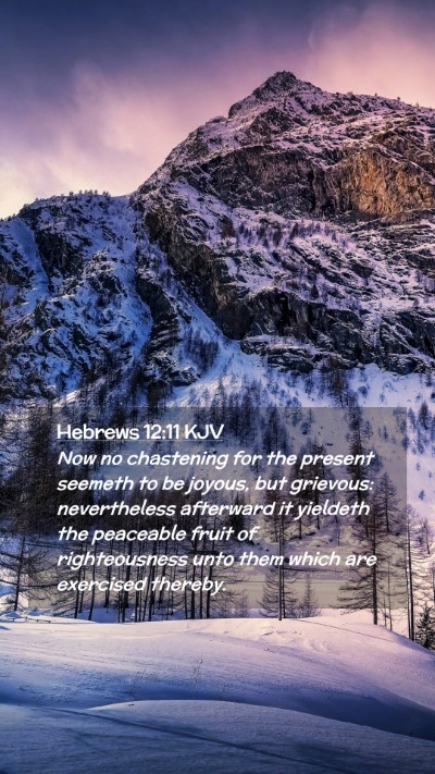 Picture 02 - Hebrews 12:11 KJV Mobile Phone Wallpaper - Now no chastening for the present seemeth to be - Mobile Bible Verse Wallpaper