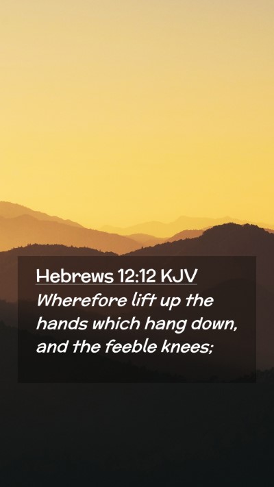 Picture 02 - Hebrews 12:12 KJV Mobile Phone Wallpaper - Wherefore lift up the hands which hang down, and - Mobile Bible Verse Wallpaper