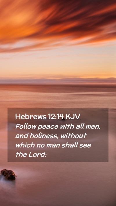 Picture 02 - Hebrews 12:14 KJV Mobile Phone Wallpaper - Follow peace with all men, and holiness, without - Mobile Bible Verse Wallpaper