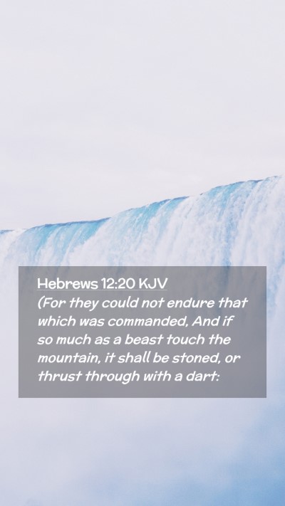 Picture 02 - Hebrews 12:20 KJV Mobile Phone Wallpaper - (For they could not endure that which was - Mobile Bible Verse Wallpaper