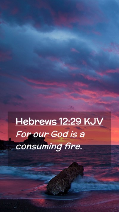 Picture 02 - Hebrews 12:29 KJV Mobile Phone Wallpaper - For our God is a consuming - Mobile Bible Verse Wallpaper