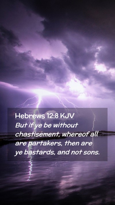 Picture 02 - Hebrews 12:8 KJV Mobile Phone Wallpaper - But if ye be without chastisement, whereof all - Mobile Bible Verse Wallpaper