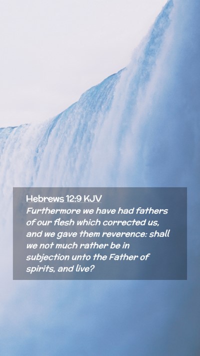 Picture 02 - Hebrews 12:9 KJV Mobile Phone Wallpaper - Furthermore we have had fathers of our flesh - Mobile Bible Verse Wallpaper