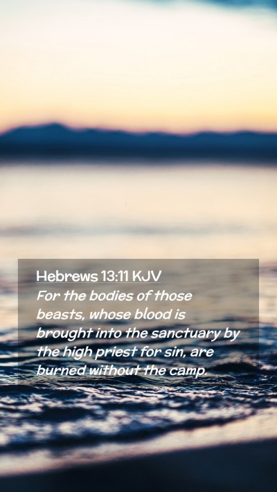 Picture 02 - Hebrews 13:11 KJV Mobile Phone Wallpaper - For the bodies of those beasts, whose blood is - Mobile Bible Verse Wallpaper