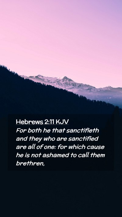 Picture 02 - Hebrews 2:11 KJV Mobile Phone Wallpaper - For both he that sanctifieth and they who are - Mobile Bible Verse Wallpaper