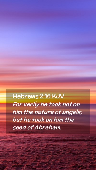 Picture 02 - Hebrews 2:16 KJV Mobile Phone Wallpaper - For verily he took not on him the nature of - Mobile Bible Verse Wallpaper