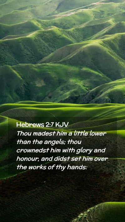 Picture 02 - Hebrews 2:7 KJV Mobile Phone Wallpaper - Thou madest him a little lower than the angels; - Mobile Bible Verse Wallpaper