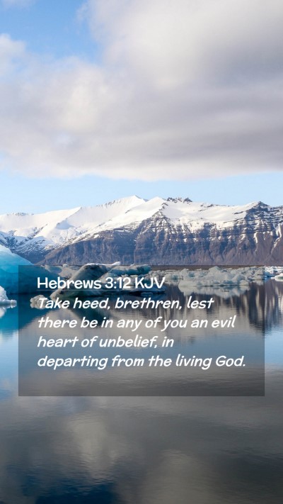 Picture 02 - Hebrews 3:12 KJV Mobile Phone Wallpaper - Take heed, brethren, lest there be in any of you - Mobile Bible Verse Wallpaper