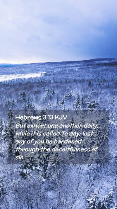 Picture 02 - Hebrews 3:13 KJV Mobile Phone Wallpaper - But exhort one another daily, while it is called - Mobile Bible Verse Wallpaper