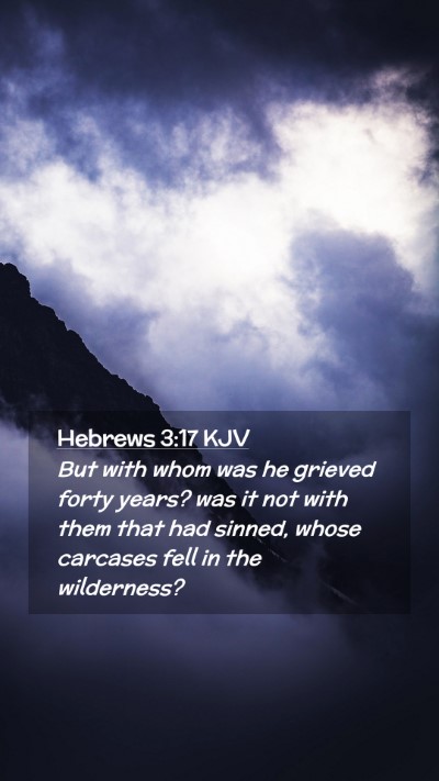 Picture 02 - Hebrews 3:17 KJV Mobile Phone Wallpaper - But with whom was he grieved forty years? was it - Mobile Bible Verse Wallpaper