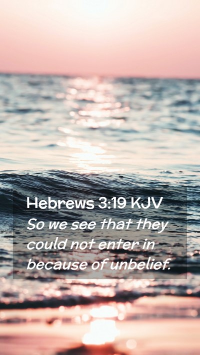 Picture 02 - Hebrews 3:19 KJV Mobile Phone Wallpaper - So we see that they could not enter in because of - Mobile Bible Verse Wallpaper