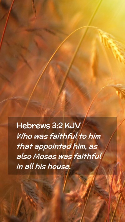 Picture 02 - Hebrews 3:2 KJV Mobile Phone Wallpaper - Who was faithful to him that appointed him, as - Mobile Bible Verse Wallpaper