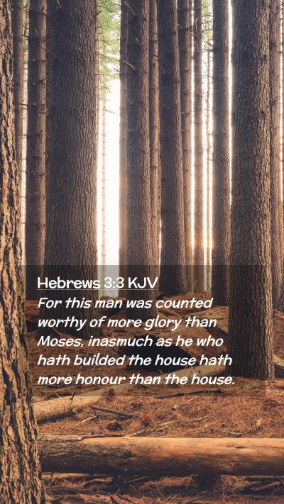 Picture 02 - Hebrews 3:3 KJV Mobile Phone Wallpaper - For this man was counted worthy of more glory - Mobile Bible Verse Wallpaper