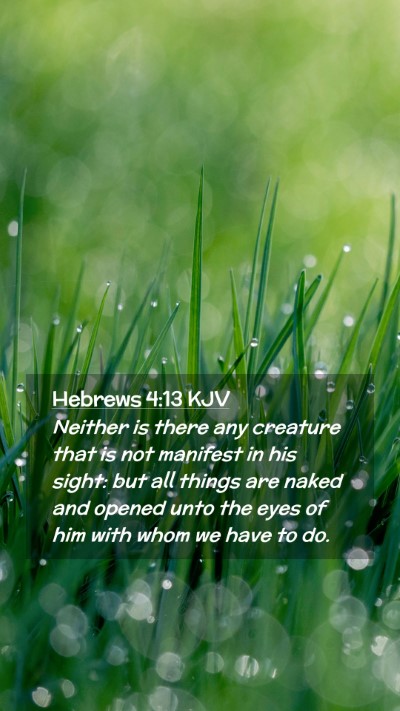 Picture 02 - Hebrews 4:13 KJV Mobile Phone Wallpaper - Neither is there any creature that is not - Mobile Bible Verse Wallpaper