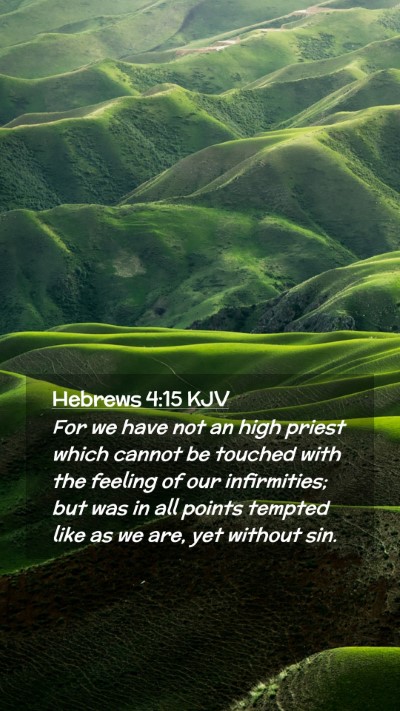 Picture 02 - Hebrews 4:15 KJV Mobile Phone Wallpaper - For we have not an high priest which cannot be - Mobile Bible Verse Wallpaper