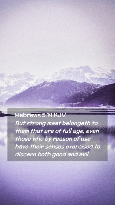 Picture 02 - Hebrews 5:14 KJV Mobile Phone Wallpaper - But strong meat belongeth to them that are of - Mobile Bible Verse Wallpaper