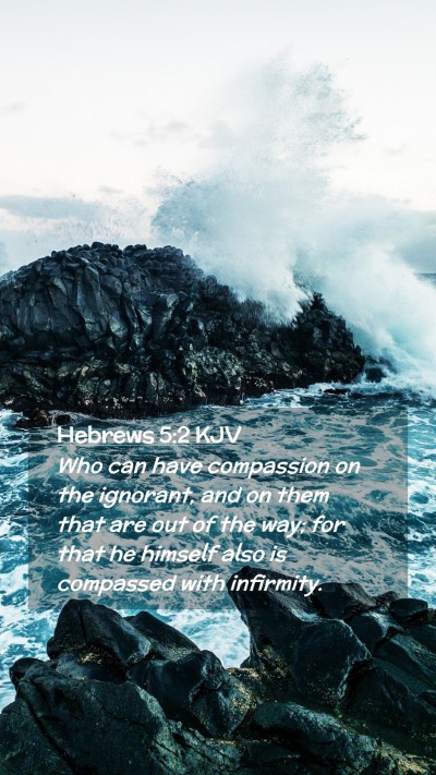 Picture 02 - Hebrews 5:2 KJV Mobile Phone Wallpaper - Who can have compassion on the ignorant, and on - Mobile Bible Verse Wallpaper