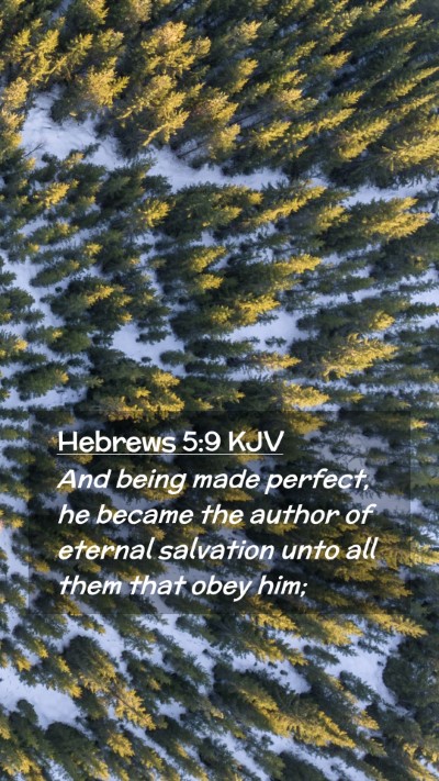 Picture 02 - Hebrews 5:9 KJV Mobile Phone Wallpaper - And being made perfect, he became the author of - Mobile Bible Verse Wallpaper