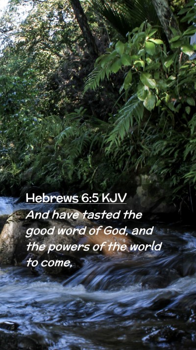 Picture 02 - Hebrews 6:5 KJV Mobile Phone Wallpaper - And have tasted the good word of God, and the - Mobile Bible Verse Wallpaper