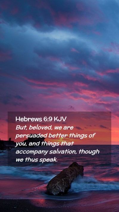 Picture 02 - Hebrews 6:9 KJV Mobile Phone Wallpaper - But, beloved, we are persuaded better things of - Mobile Bible Verse Wallpaper