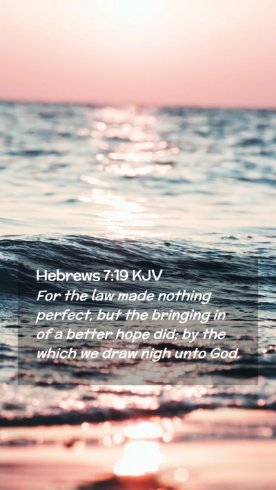 Picture 02 - Hebrews 7:19 KJV Mobile Phone Wallpaper - For the law made nothing perfect, but the - Mobile Bible Verse Wallpaper