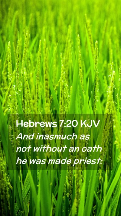 Picture 02 - Hebrews 7:20 KJV Mobile Phone Wallpaper - And inasmuch as not without an oath he was made - Mobile Bible Verse Wallpaper