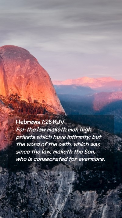 Picture 02 - Hebrews 7:28 KJV Mobile Phone Wallpaper - For the law maketh men high priests which have - Mobile Bible Verse Wallpaper