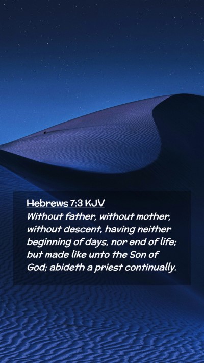 Picture 02 - Hebrews 7:3 KJV Mobile Phone Wallpaper - Without father, without mother, without descent, - Mobile Bible Verse Wallpaper