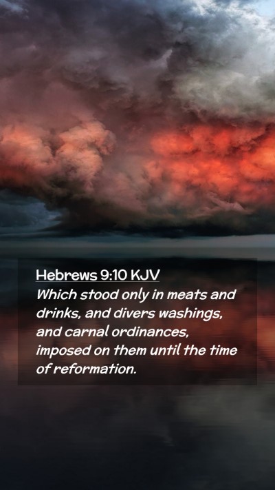 Picture 02 - Hebrews 9:10 KJV Mobile Phone Wallpaper - Which stood only in meats and drinks, and divers - Mobile Bible Verse Wallpaper