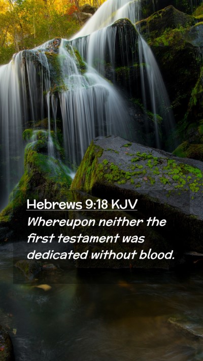 Picture 02 - Hebrews 9:18 KJV Mobile Phone Wallpaper - Whereupon neither the first testament was - Mobile Bible Verse Wallpaper