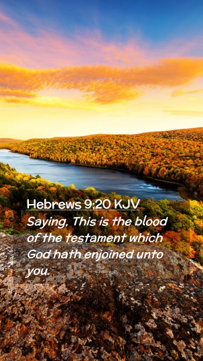 Picture 02 - Hebrews 9:20 KJV Mobile Phone Wallpaper - Saying, This is the blood of the testament which - Mobile Bible Verse Wallpaper