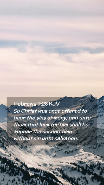 Picture 02 - Hebrews 9:28 KJV Mobile Phone Wallpaper - So Christ was once offered to bear the sins of - Mobile Bible Verse Wallpaper