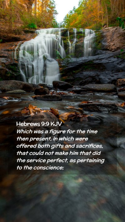 Picture 02 - Hebrews 9:9 KJV Mobile Phone Wallpaper - Which was a figure for the time then present, in - Mobile Bible Verse Wallpaper