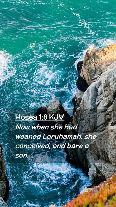 Picture 02 - Hosea 1:8 KJV Mobile Phone Wallpaper - Now when she had weaned Loruhamah, she conceived, - Mobile Bible Verse Wallpaper