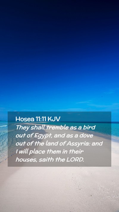 Picture 02 - Hosea 11:11 KJV Mobile Phone Wallpaper - They shall tremble as a bird out of Egypt, and as - Mobile Bible Verse Wallpaper
