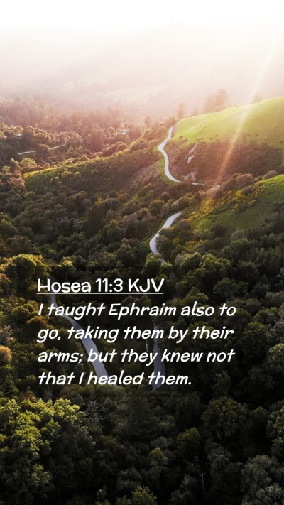Picture 02 - Hosea 11:3 KJV Mobile Phone Wallpaper - I taught Ephraim also to go, taking them by their - Mobile Bible Verse Wallpaper