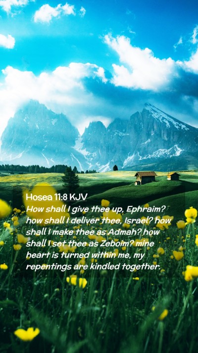 Picture 02 - Hosea 11:8 KJV Mobile Phone Wallpaper - How shall I give thee up, Ephraim? how shall I - Mobile Bible Verse Wallpaper