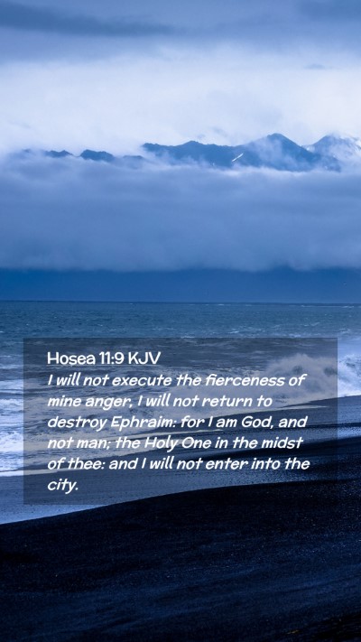 Picture 02 - Hosea 11:9 KJV Mobile Phone Wallpaper - I will not execute the fierceness of mine anger, - Mobile Bible Verse Wallpaper