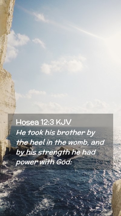 Picture 02 - Hosea 12:3 KJV Mobile Phone Wallpaper - He took his brother by the heel in the womb, and - Mobile Bible Verse Wallpaper