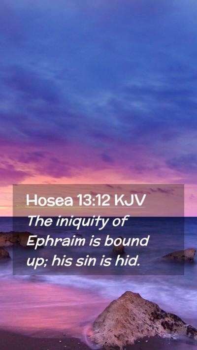 Picture 02 - Hosea 13:12 KJV Mobile Phone Wallpaper - The iniquity of Ephraim is bound up; his sin is - Mobile Bible Verse Wallpaper