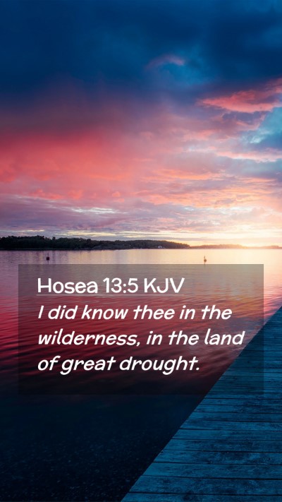 Picture 02 - Hosea 13:5 KJV Mobile Phone Wallpaper - I did know thee in the wilderness, in the land of - Mobile Bible Verse Wallpaper