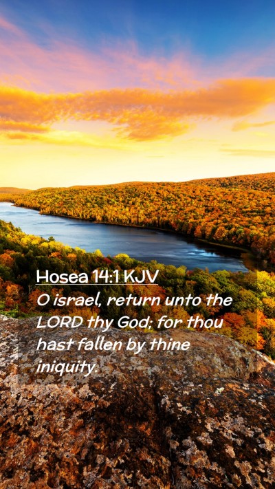 Picture 02 - Hosea 14:1 KJV Mobile Phone Wallpaper - O israel, return unto the LORD thy God; for thou - Mobile Bible Verse Wallpaper