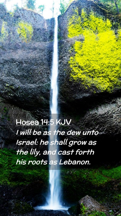 Picture 02 - Hosea 14:5 KJV Mobile Phone Wallpaper - I will be as the dew unto Israel: he shall grow - Mobile Bible Verse Wallpaper