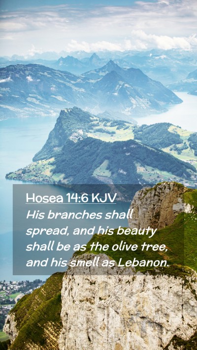 Picture 02 - Hosea 14:6 KJV Mobile Phone Wallpaper - His branches shall spread, and his beauty shall - Mobile Bible Verse Wallpaper