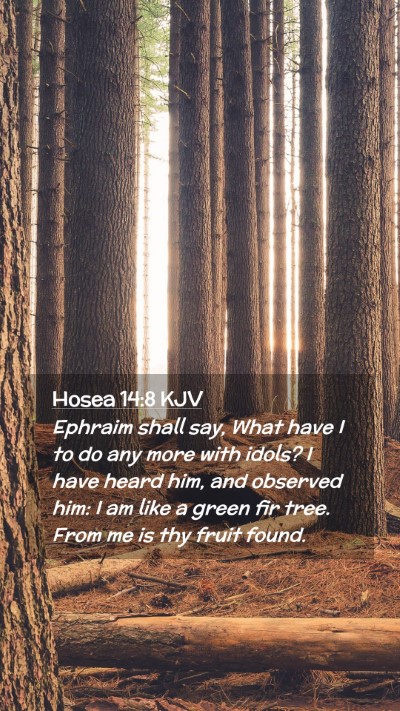 Picture 02 - Hosea 14:8 KJV Mobile Phone Wallpaper - Ephraim shall say, What have I to do any more - Mobile Bible Verse Wallpaper