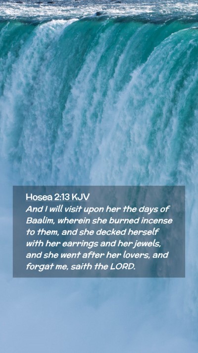 Picture 02 - Hosea 2:13 KJV Mobile Phone Wallpaper - And I will visit upon her the days of Baalim, - Mobile Bible Verse Wallpaper