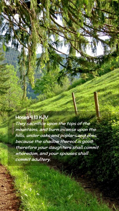 Picture 02 - Hosea 4:13 KJV Mobile Phone Wallpaper - They sacrifice upon the tops of the mountains, - Mobile Bible Verse Wallpaper