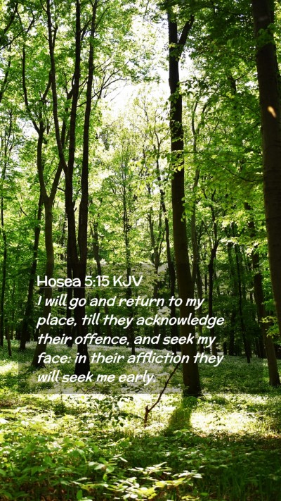 Picture 02 - Hosea 5:15 KJV Mobile Phone Wallpaper - I will go and return to my place, till they - Mobile Bible Verse Wallpaper